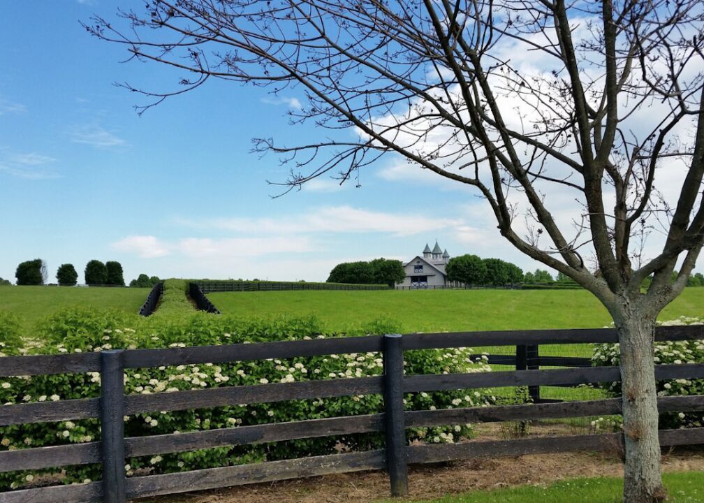 #41. Kentucky